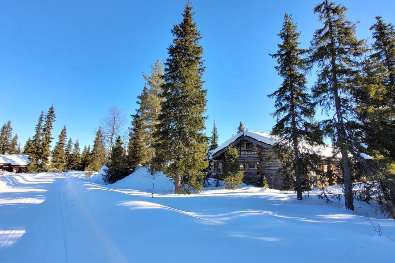Holiday Home Vonkamies Луосто Экстерьер фото